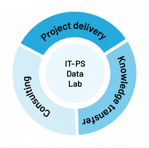 Pillars Project delivery, consulting, knowledge transfer and data lab shown in a circle.